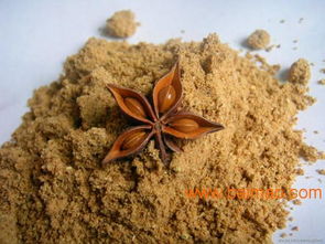 頂能食品 優(yōu)質(zhì)八角粉調(diào)味香辛料的生產(chǎn)與價(jià)格解析
